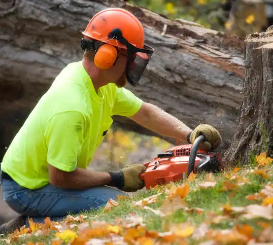 tree services New Washington